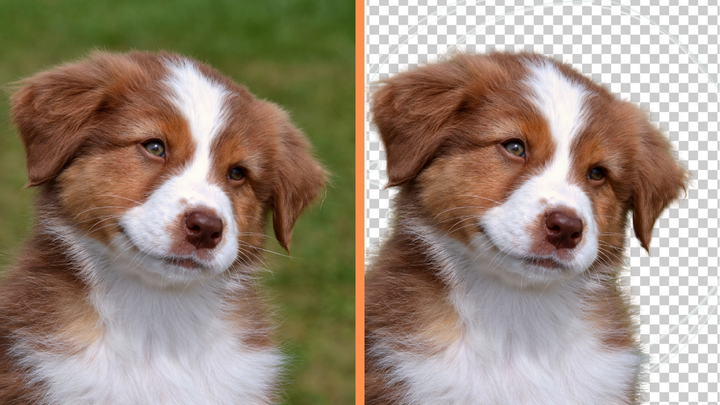 How to Remove Backgrounds from Photos (No Photoshop Needed!)